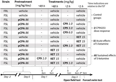 S-Ketamine Mediates Its Acute and Sustained Antidepressant-Like Activity through a 5-HT1B Receptor Dependent Mechanism in a Genetic Rat Model of Depression